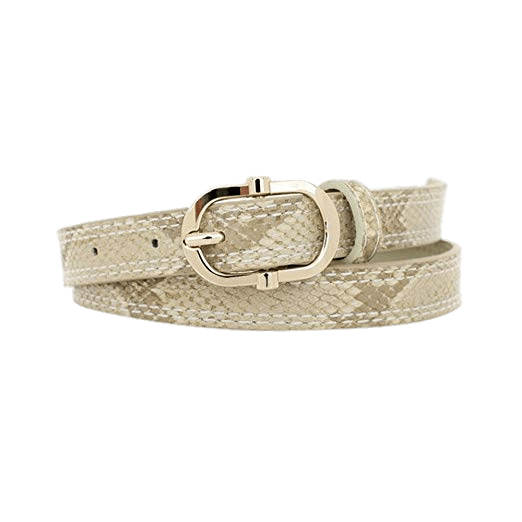 Snakeskin Pattern Belt Clip arts