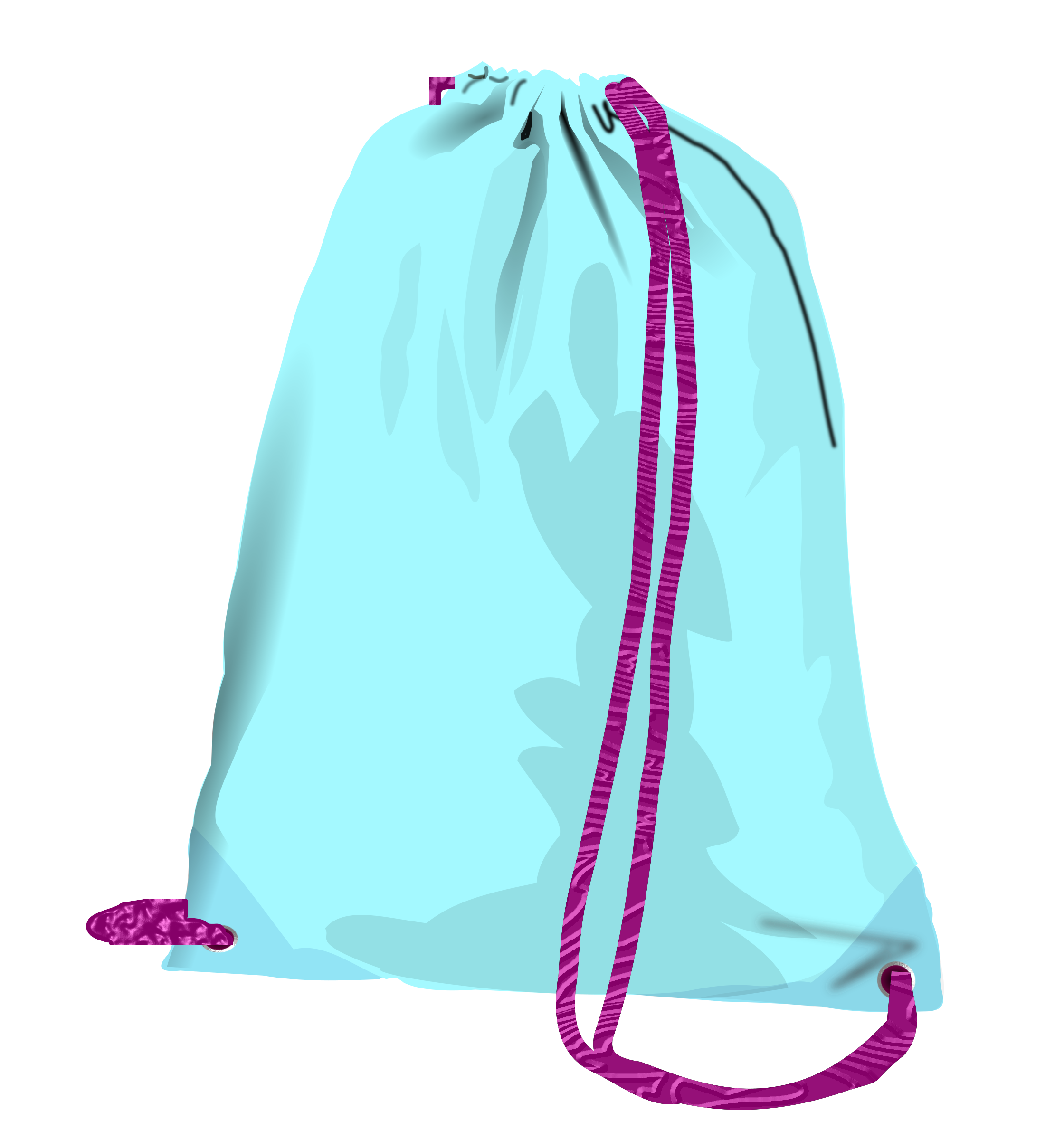 sport bag (pouch) PNG icon