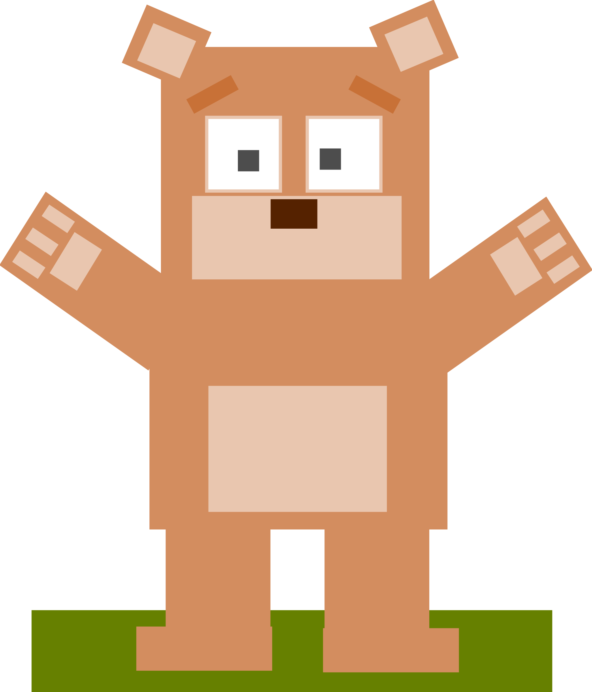 Square animal cartoon bear PNG icon