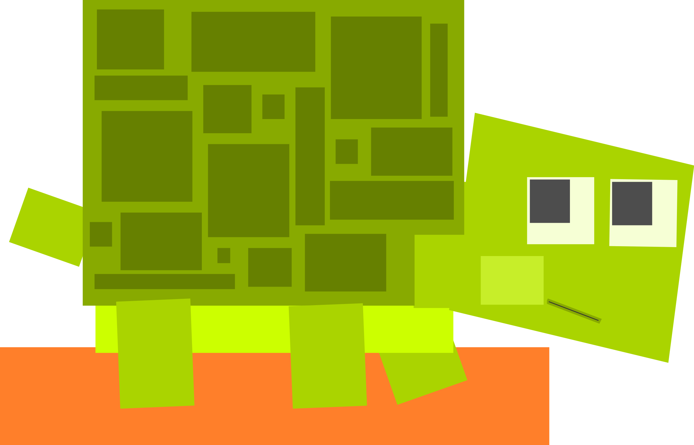Square animal cartoon turtle PNG icon
