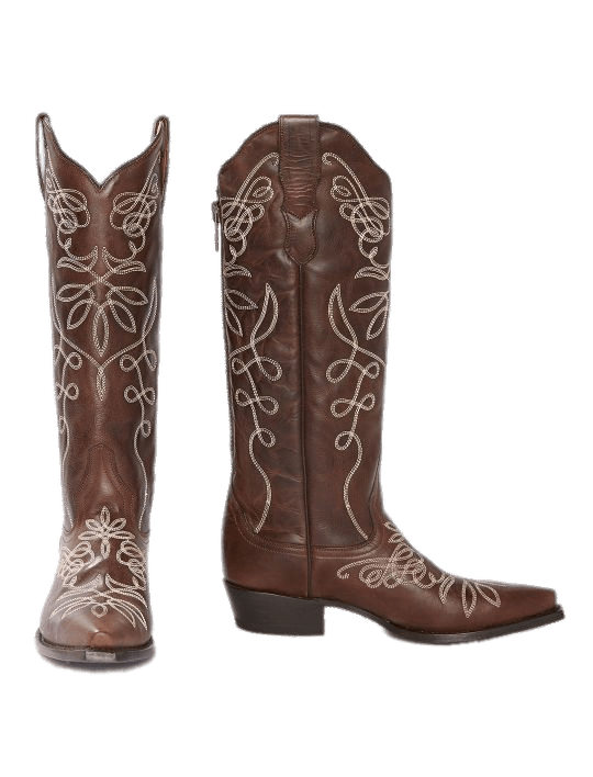 Stetson Women's Boots PNG icon