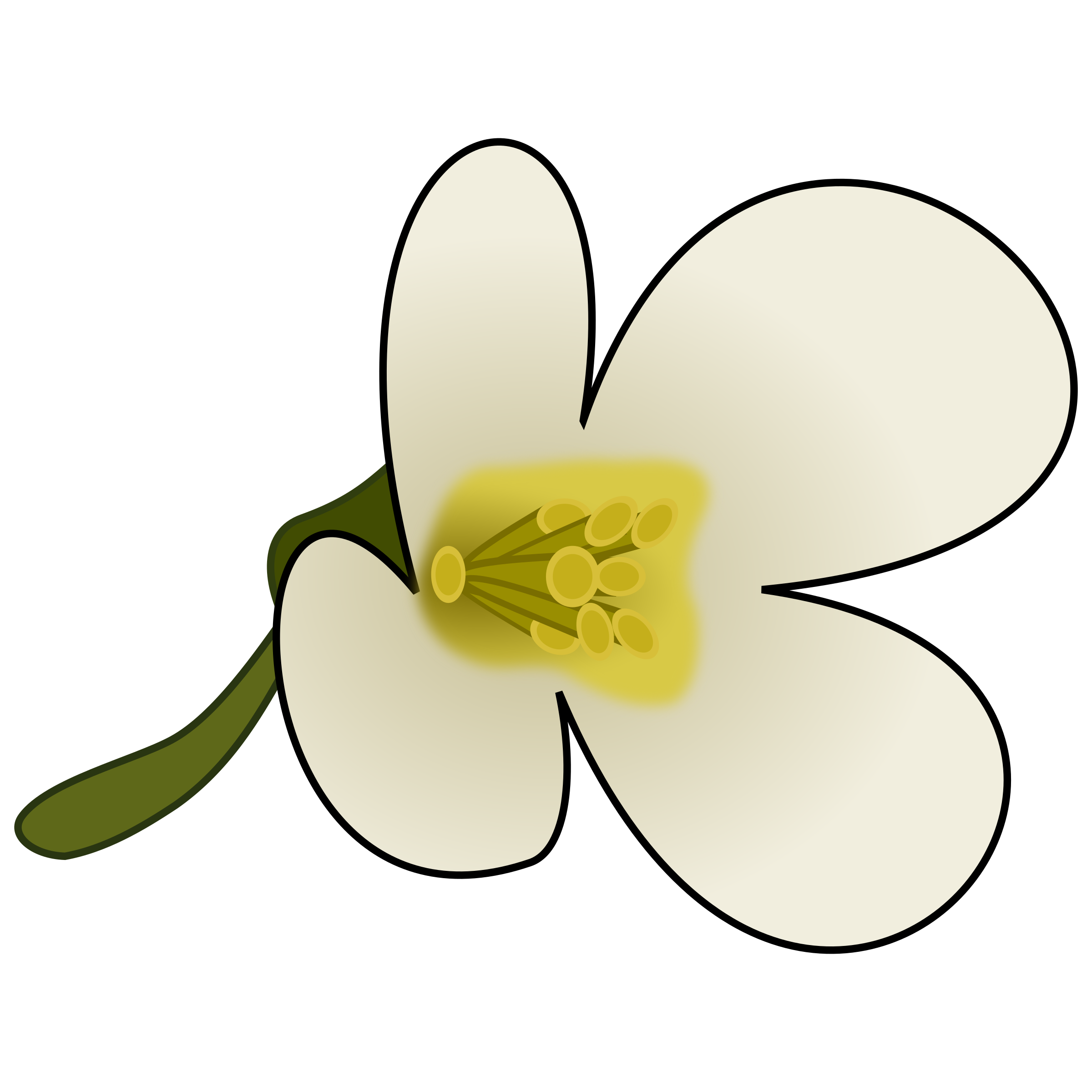 Thaliana Flower SVG Clip arts