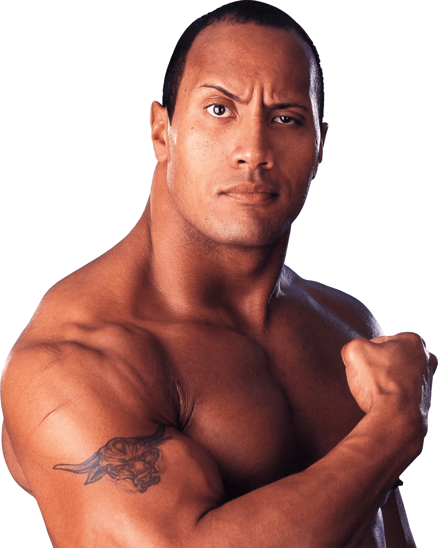 The Rock Sideview SVG Clip arts