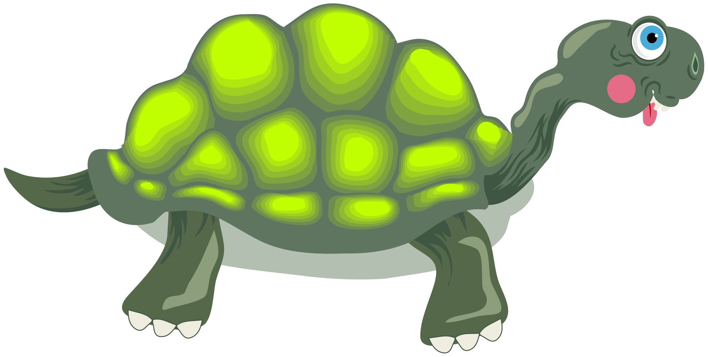 Tortoise Cartoon Icons PNG - Free PNG and Icons Downloads