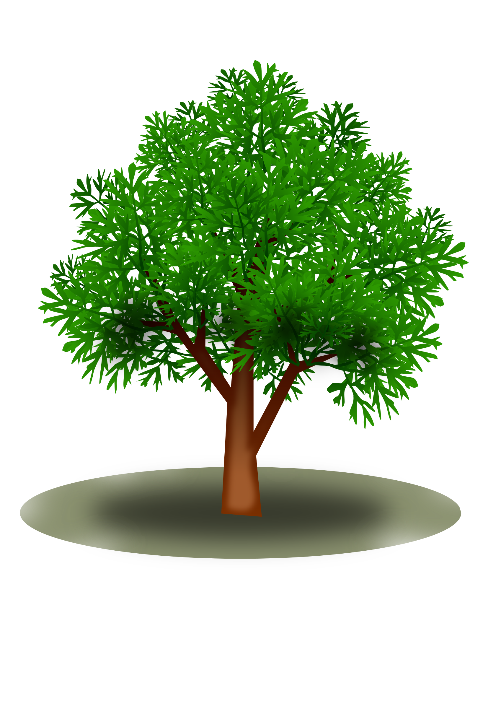 Tree 21102016 PNG icon