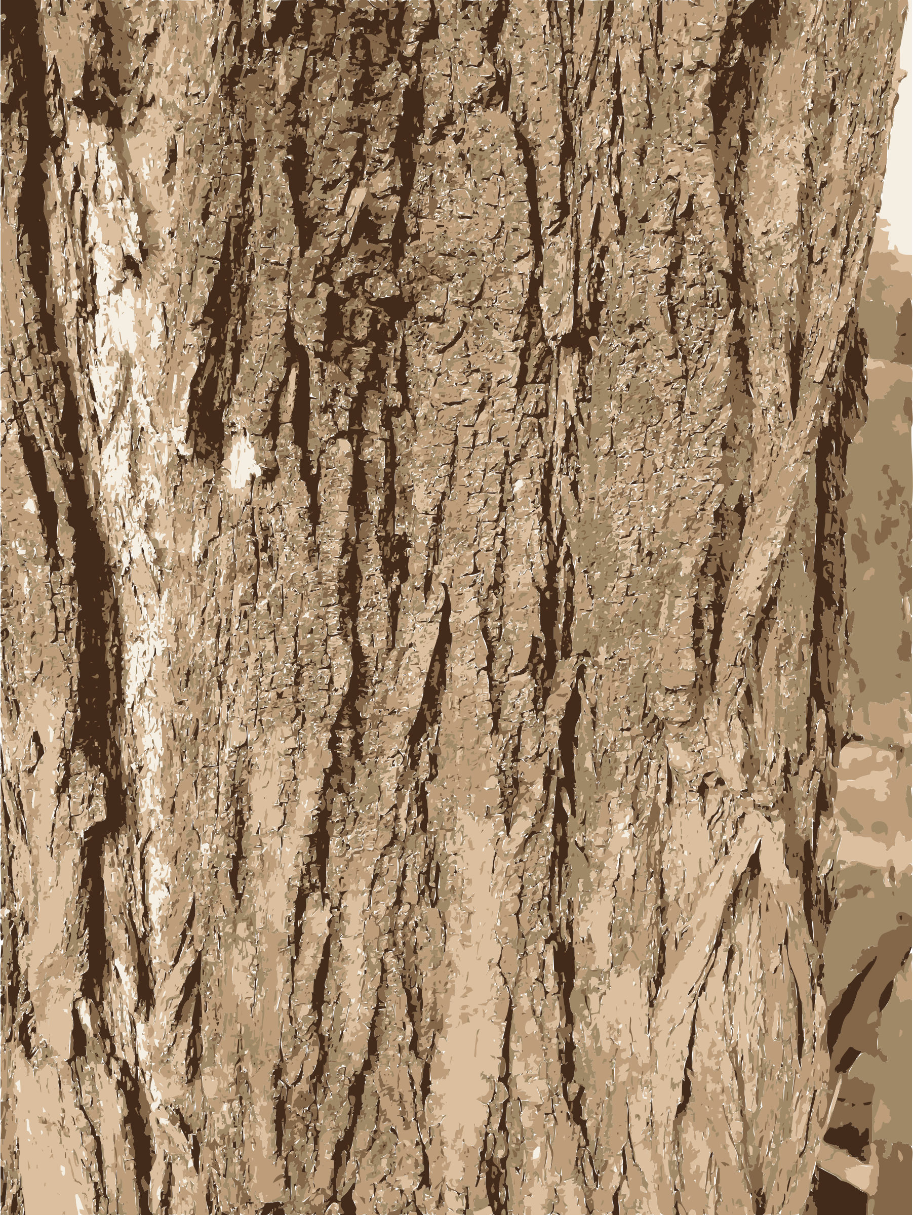 Tree bark texture PNG icon
