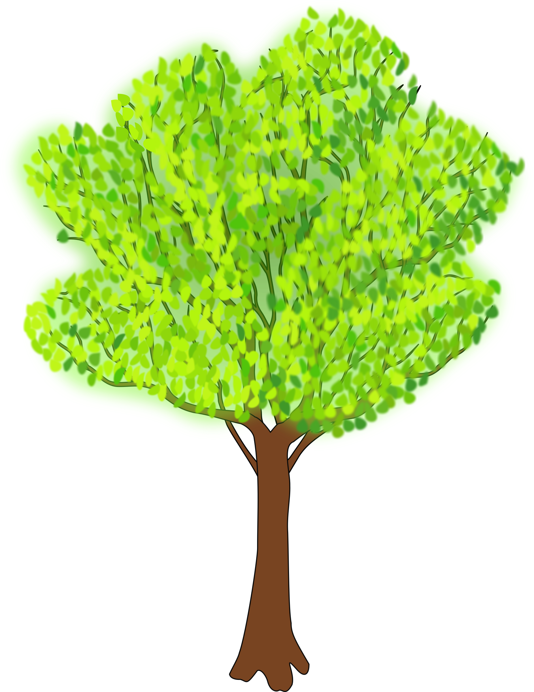 tree in summer PNG icon