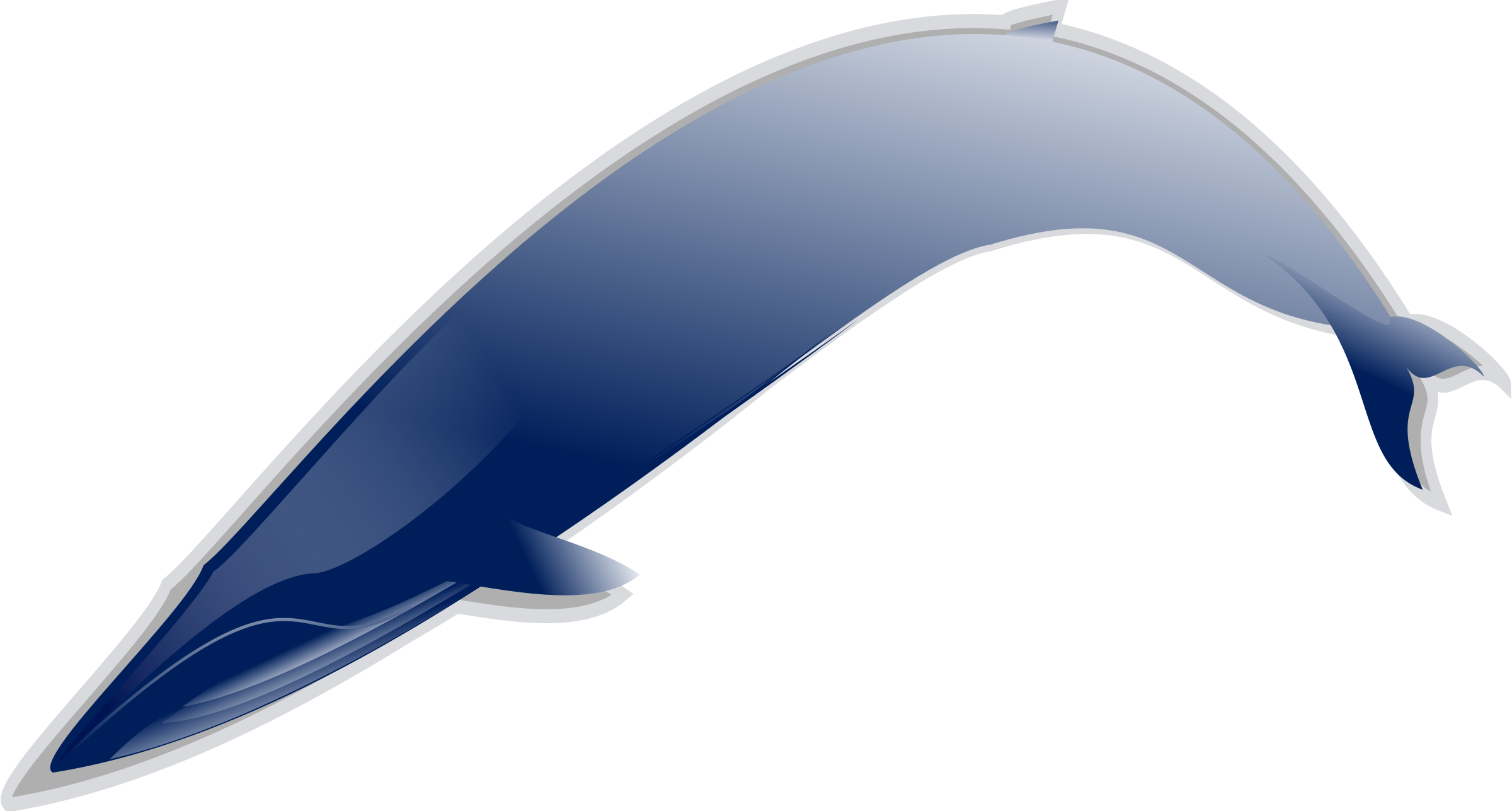 Whale PNG icon