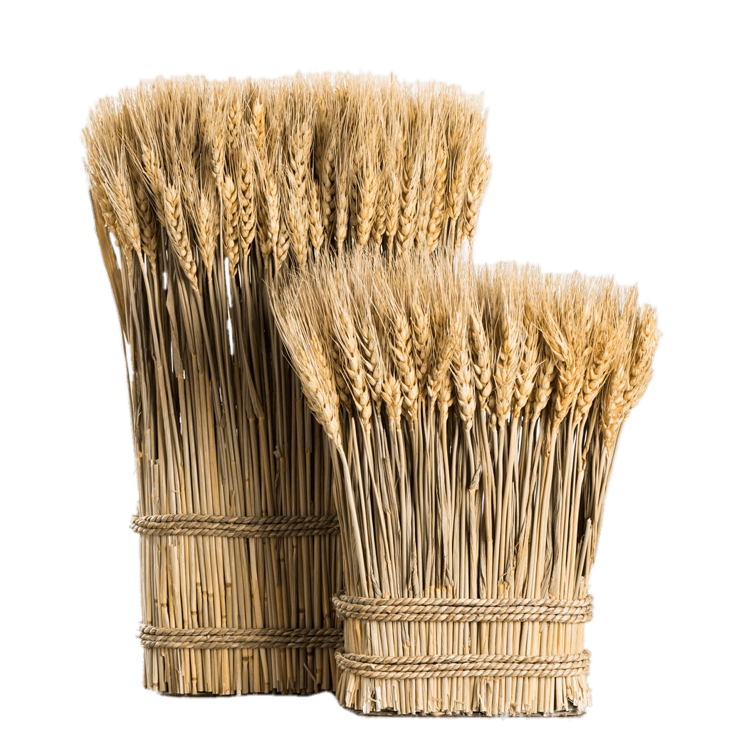 Wheat Bundles PNG images
