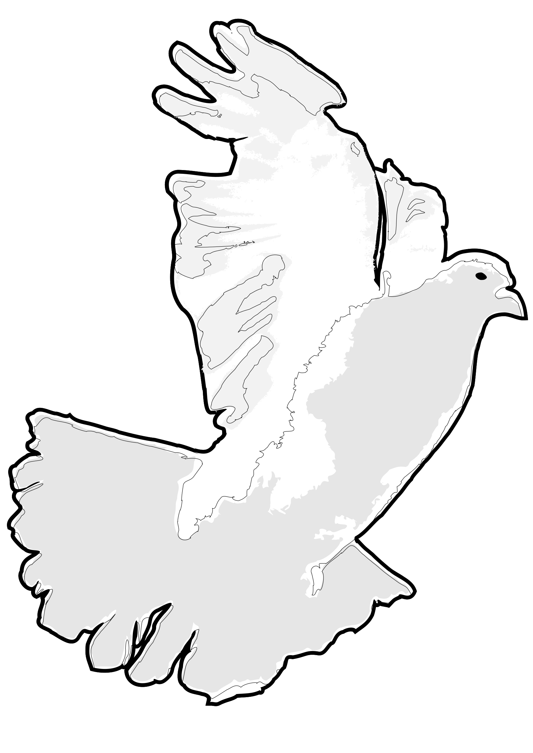White Dove / White Pigeon SVG Clip arts