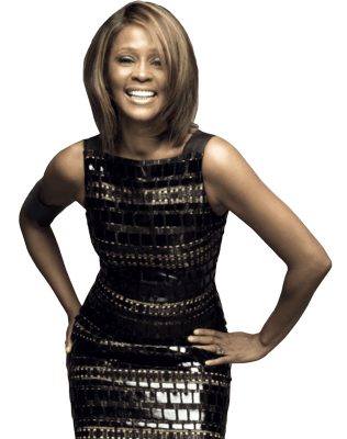 Whitney Houston Sparkling Dress PNG icon