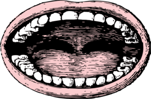 Wide Mouth Vintage SVG file