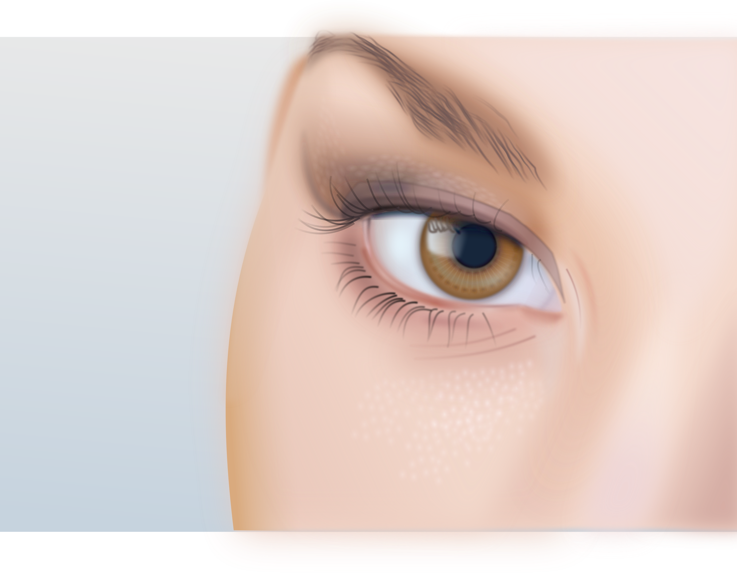 Woman's eye detailed Clip arts