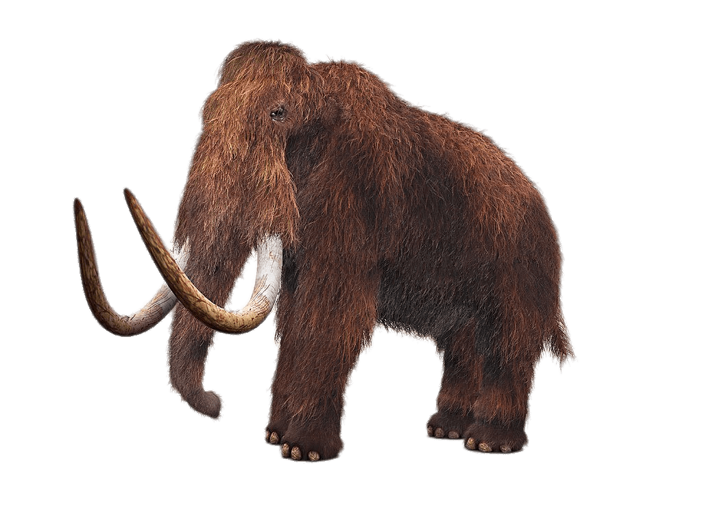 Wooly Mammoth PNG images