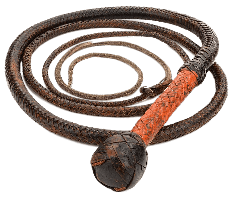 Young Indiana Jones Whip PNG images